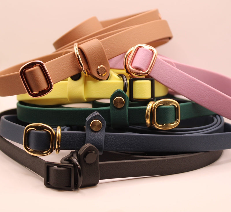 Laisses d'exposition