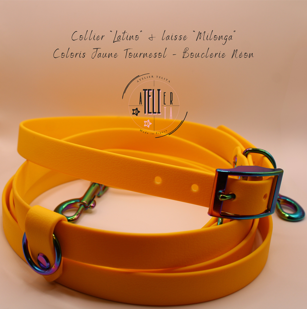 Le Latino Jaune Tournesol