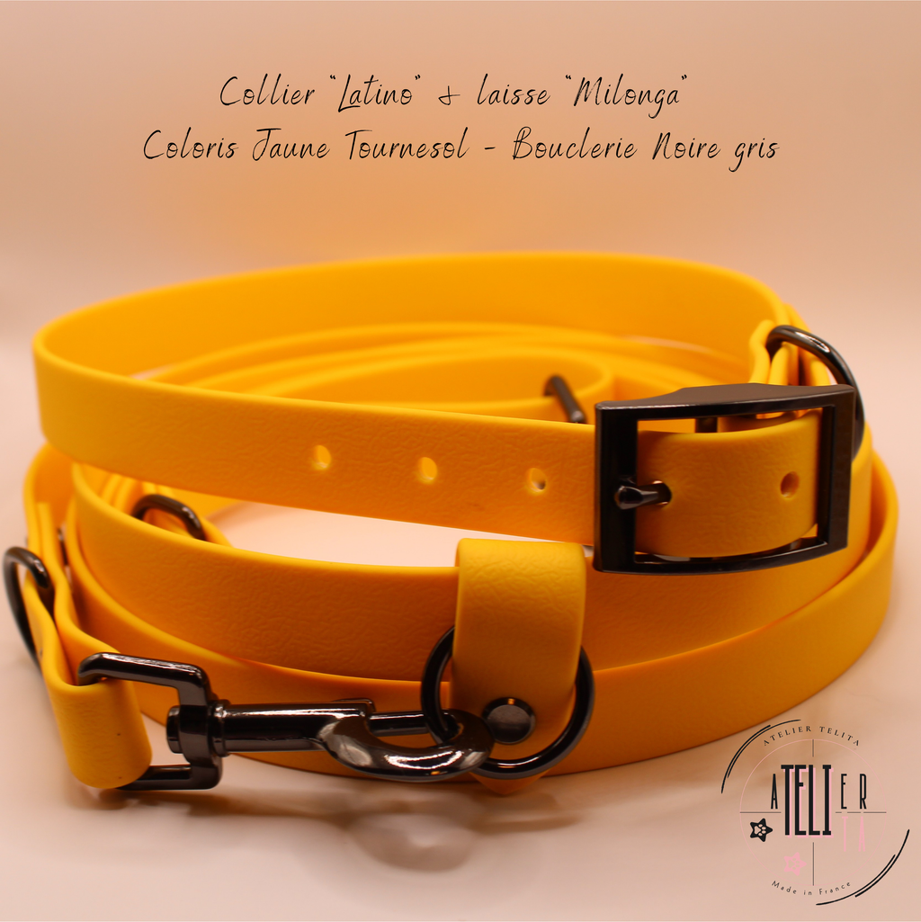 Le Latino Jaune Tournesol
