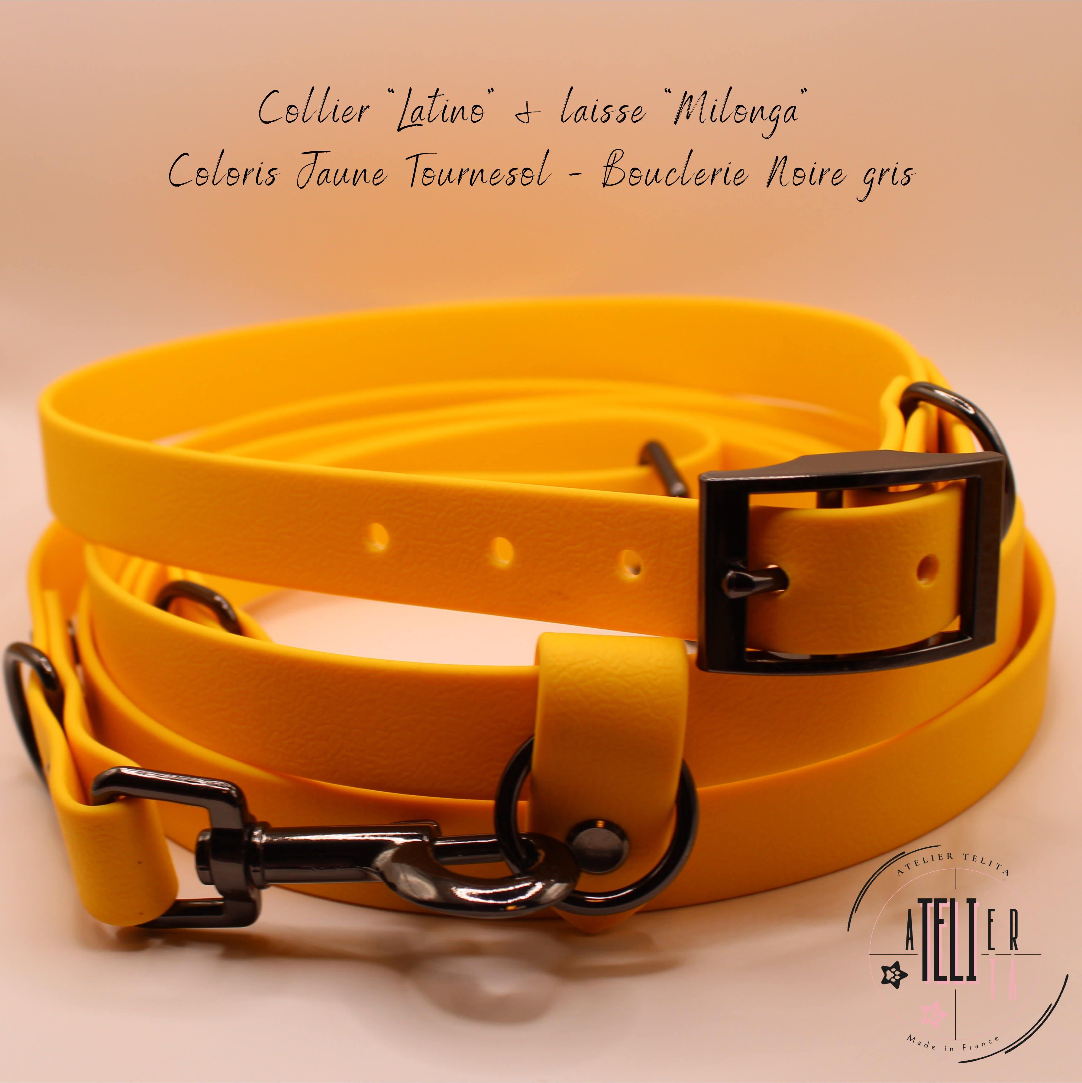 Le Latino Jaune Tournesol