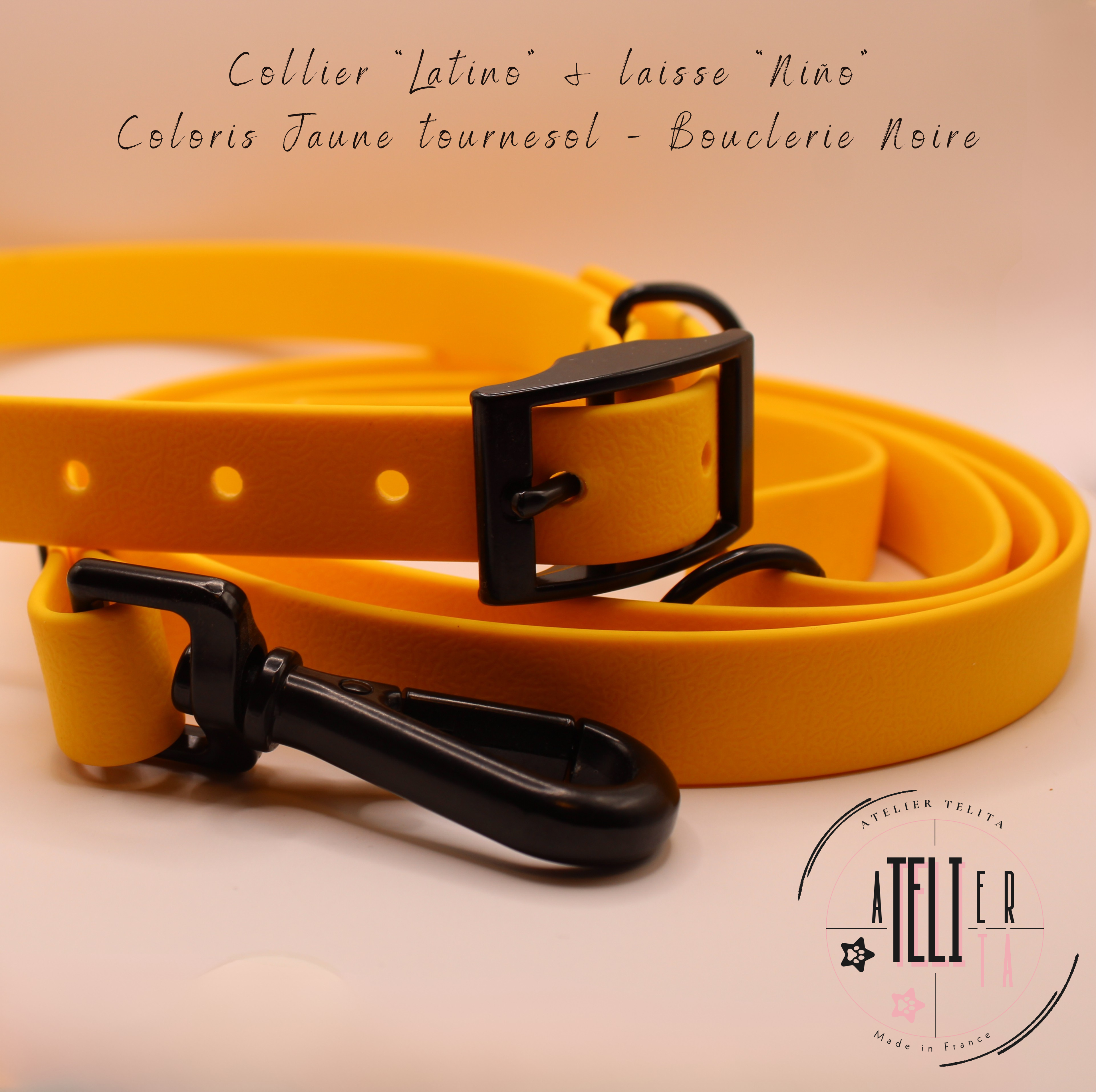 Le Latino Jaune Tournesol