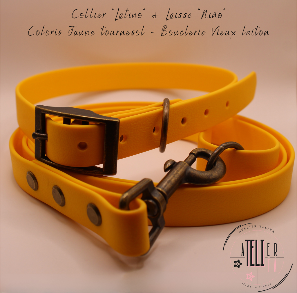 Le Latino Jaune Tournesol
