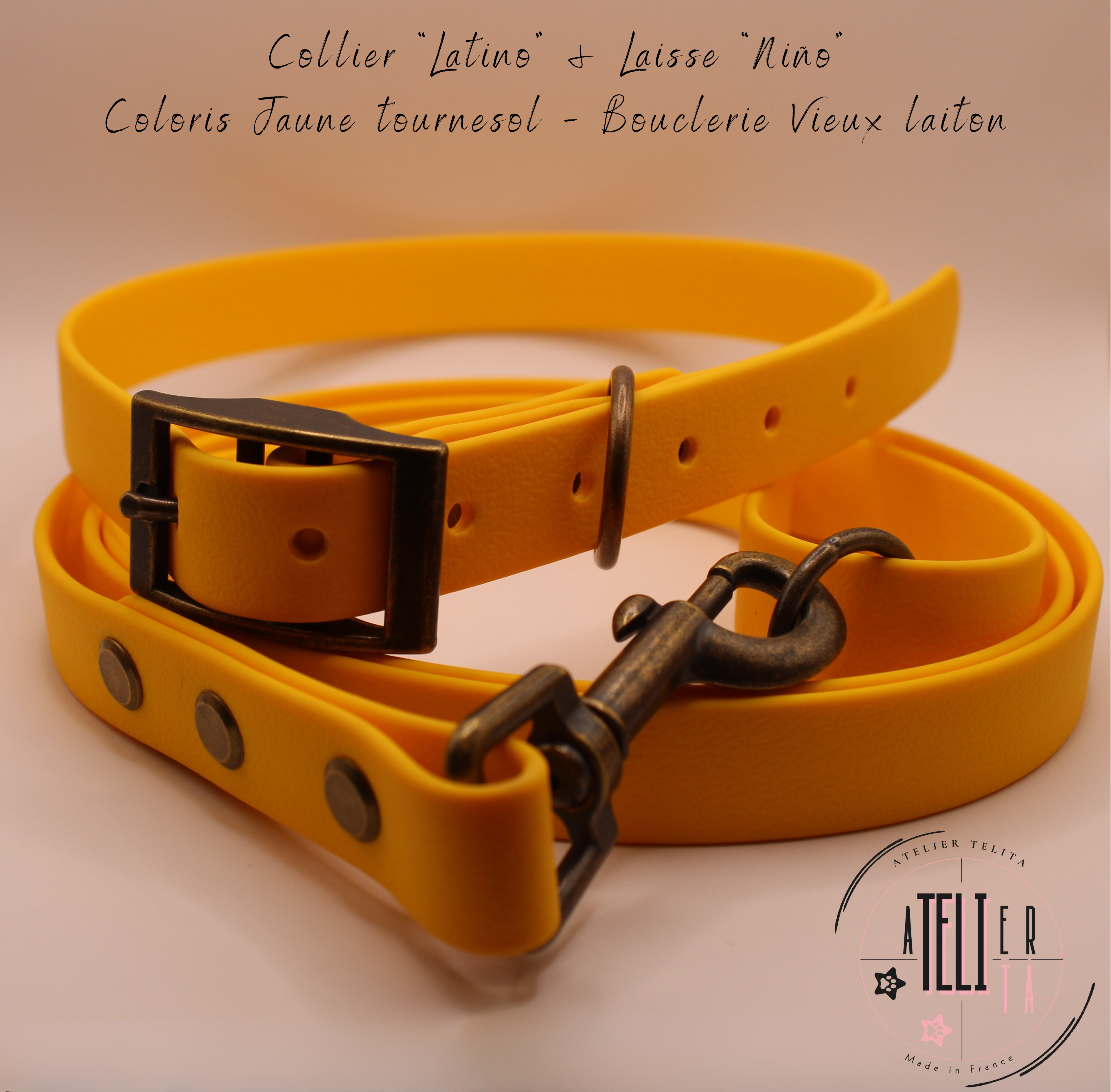 Le Latino Jaune Tournesol