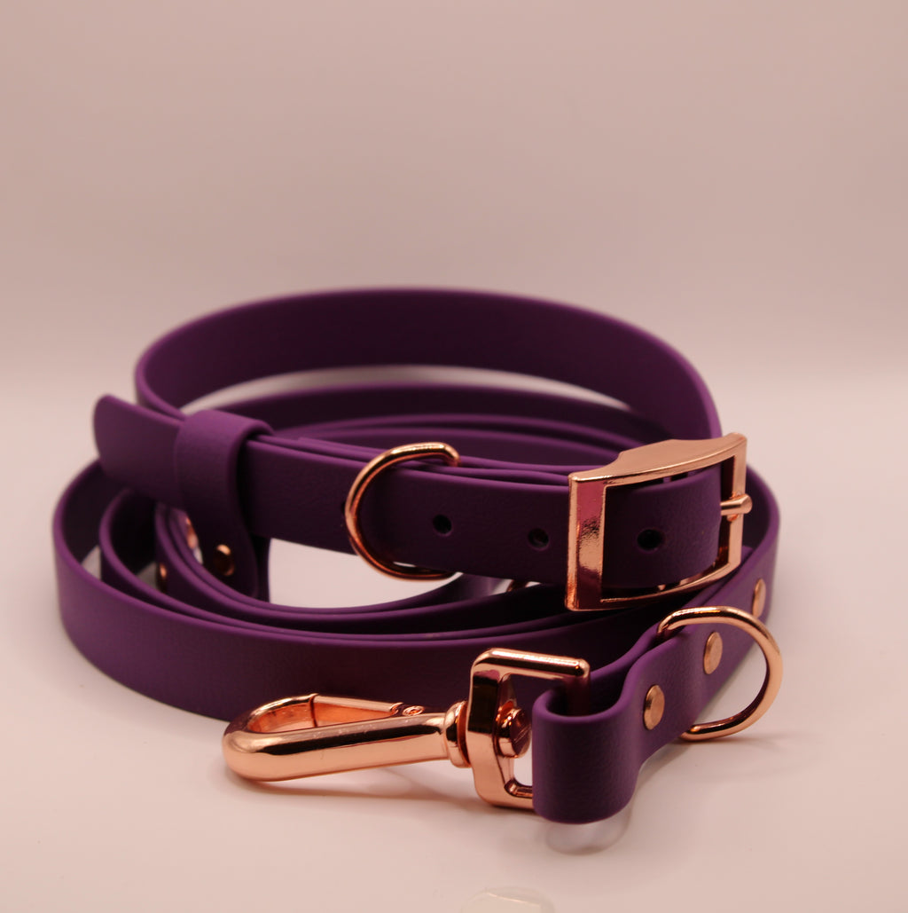 La Niña Violet Zinzolin