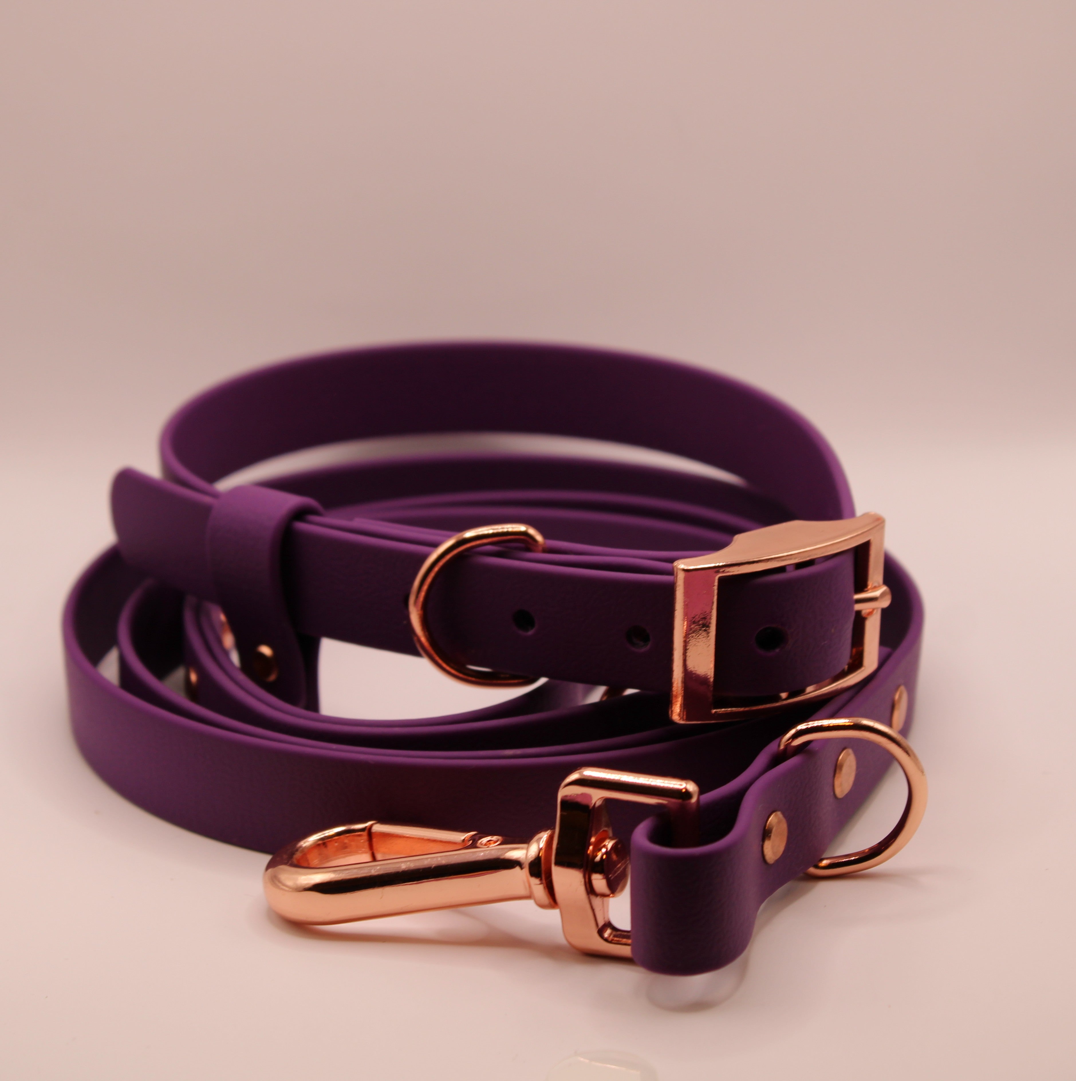 La Niña Violet Zinzolin