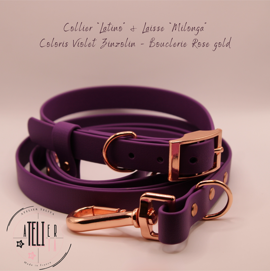 La Milonga Violet Zinzolin
