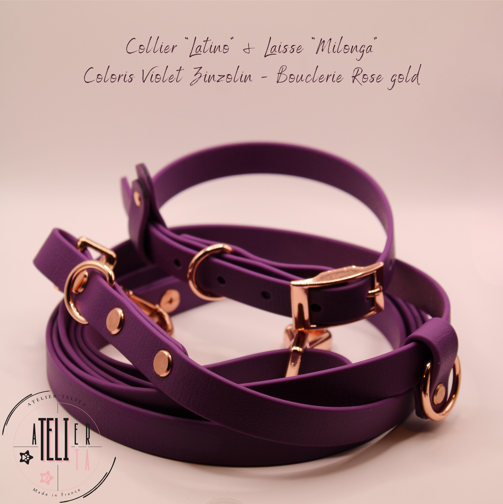 La Milonga Violet Zinzolin