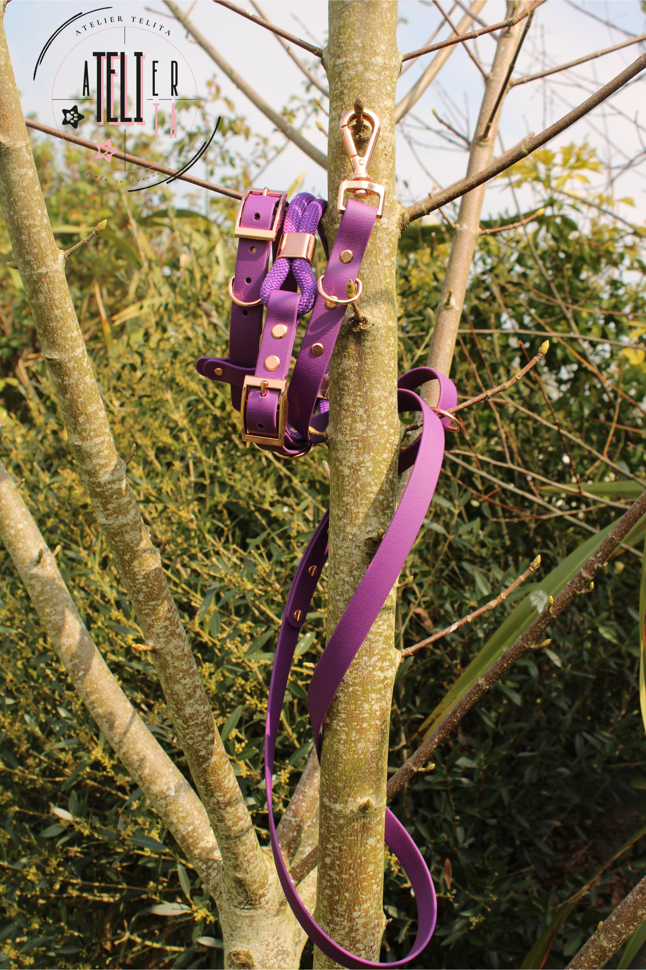 La Criollita Violet Elixir