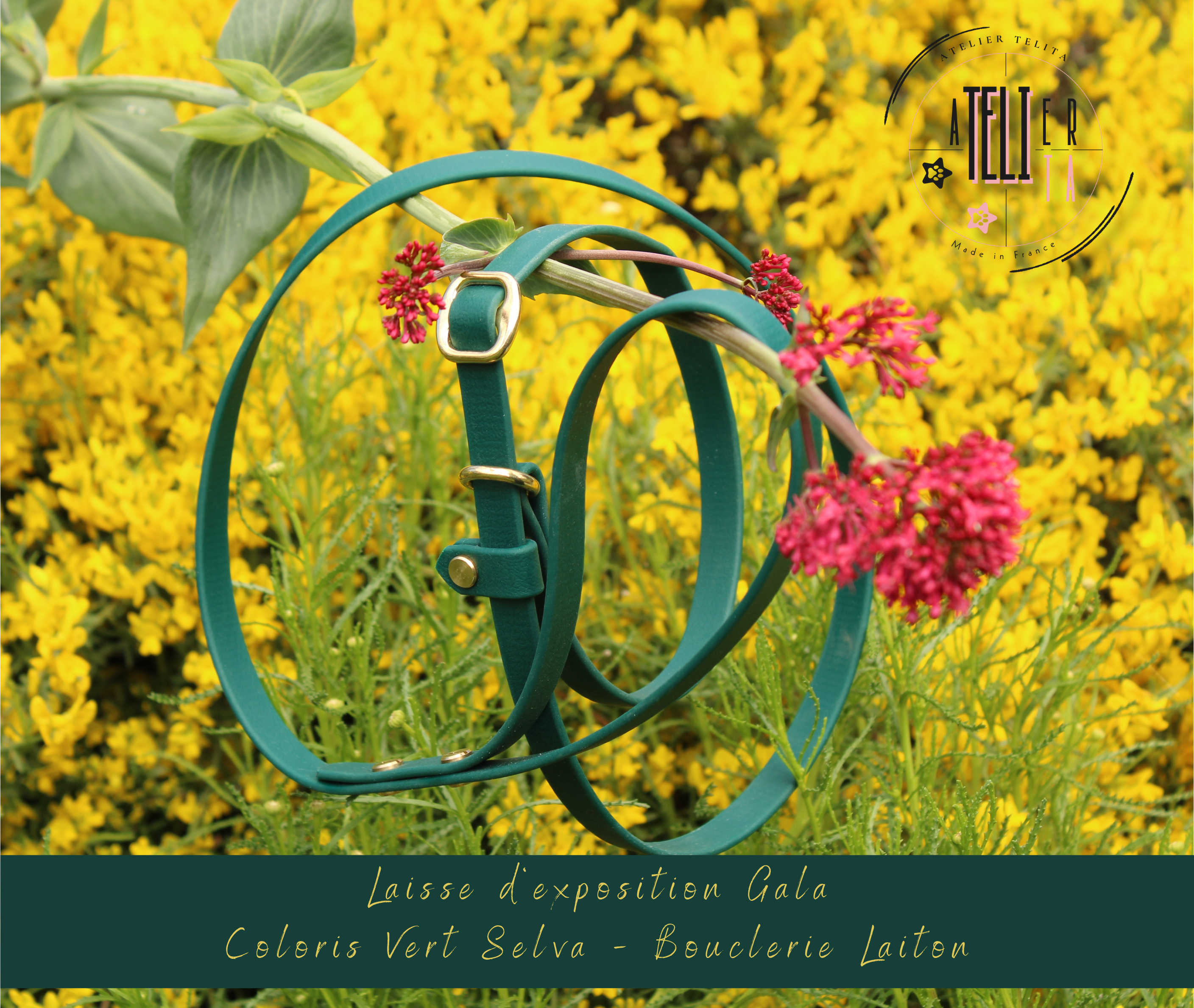La laisse d'exposition Gala - Vert Selva