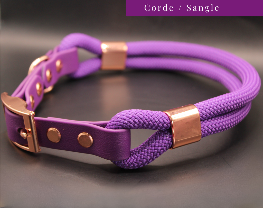 Le Gringo Violet