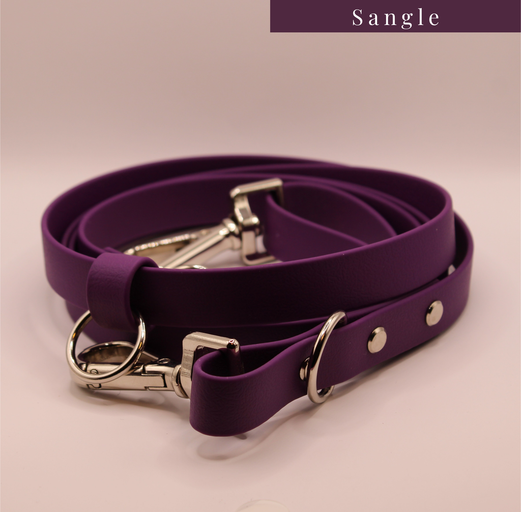 La Milonga Violet Zinzolin