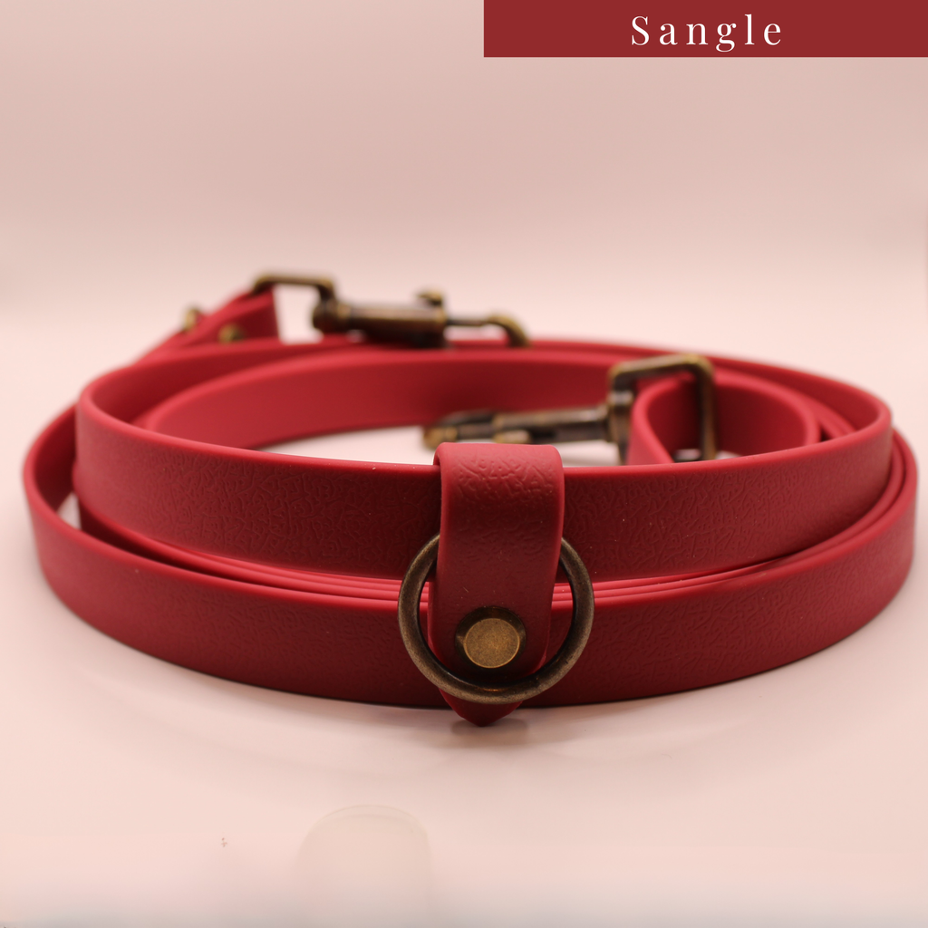 La Milonga Rouge Royal