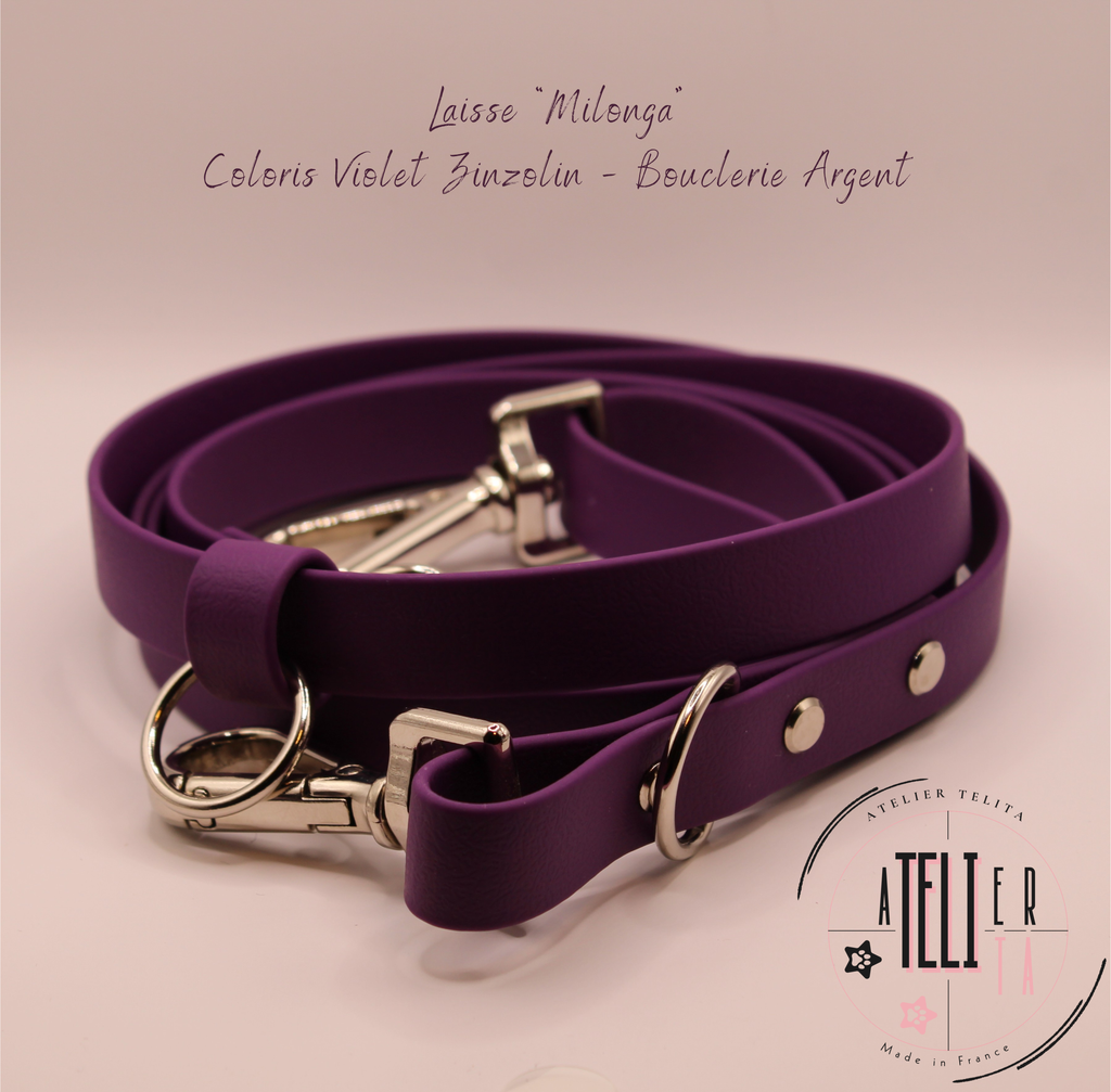 La Milonga Violet Zinzolin