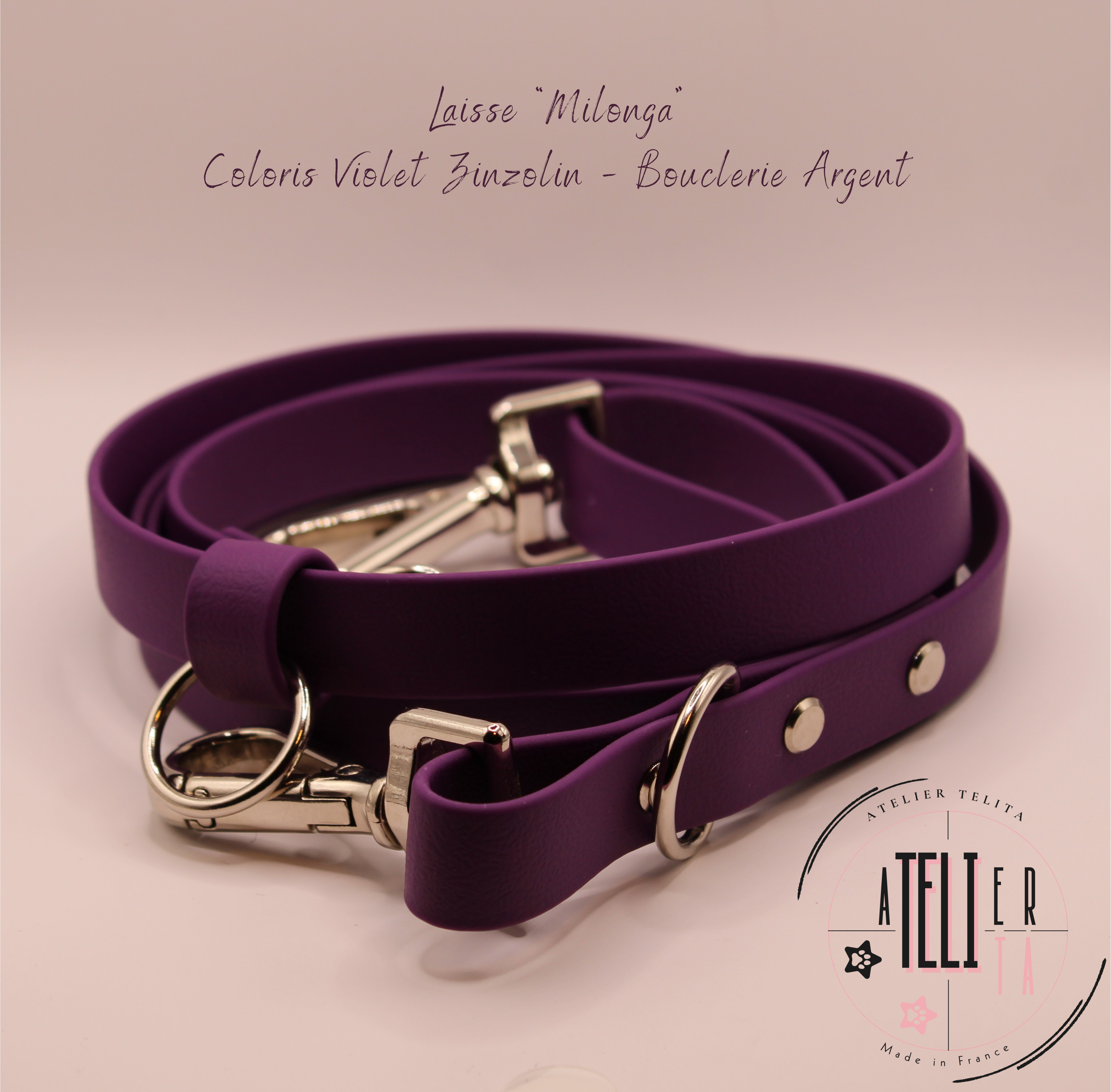 La Milonga Violet Zinzolin