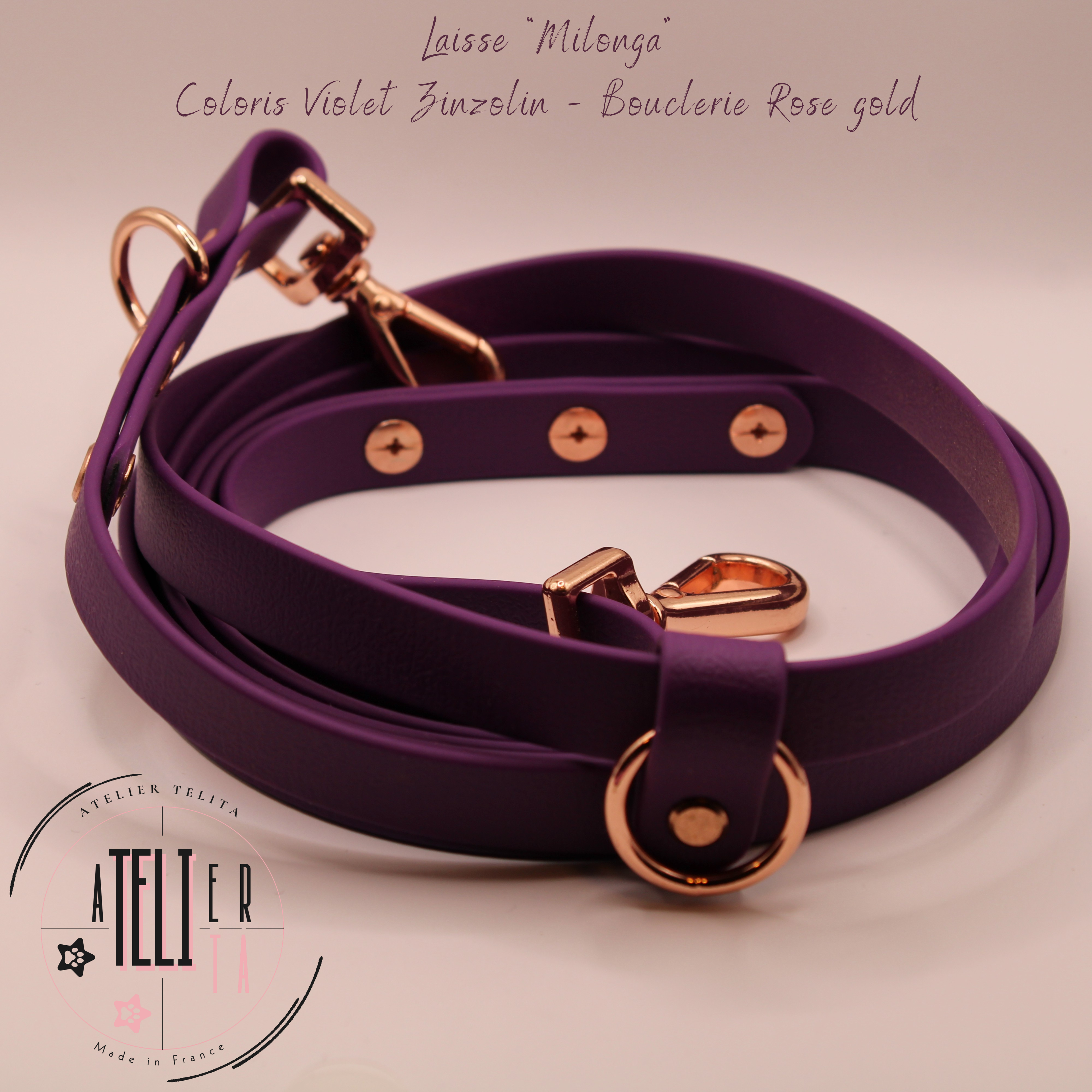 La Milonga Violet Zinzolin