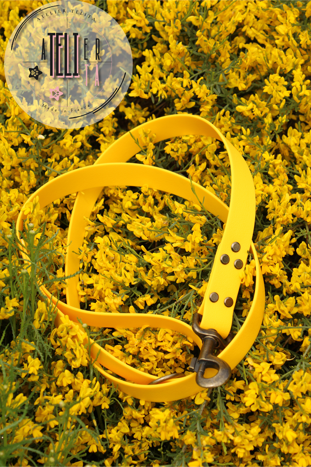 La Niña Jaune Tournesol