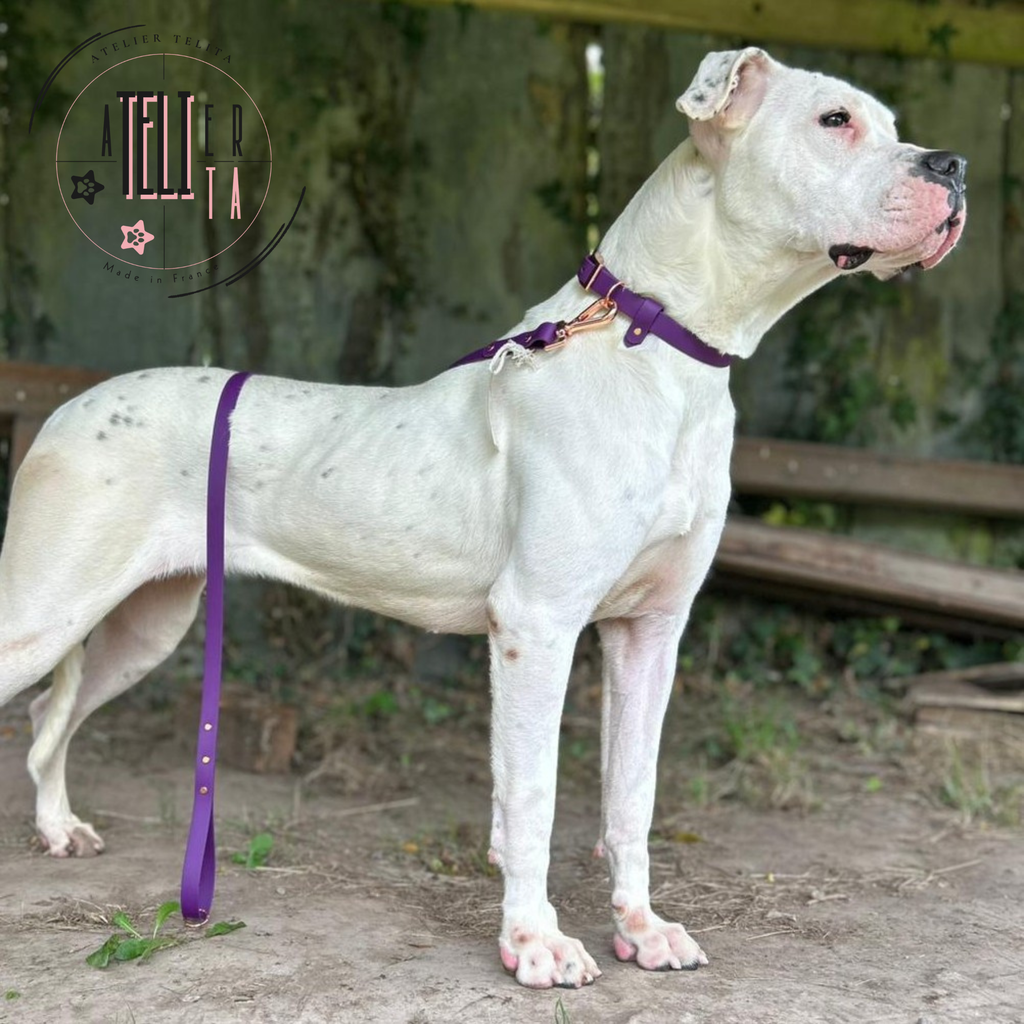 La Niña Violet Zinzolin