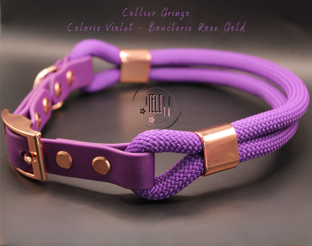 Le Gringo Violet