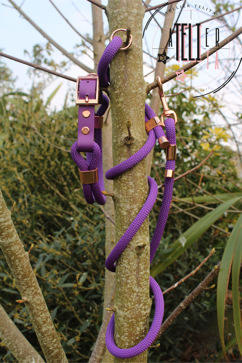 La Criollita Violet Elixir